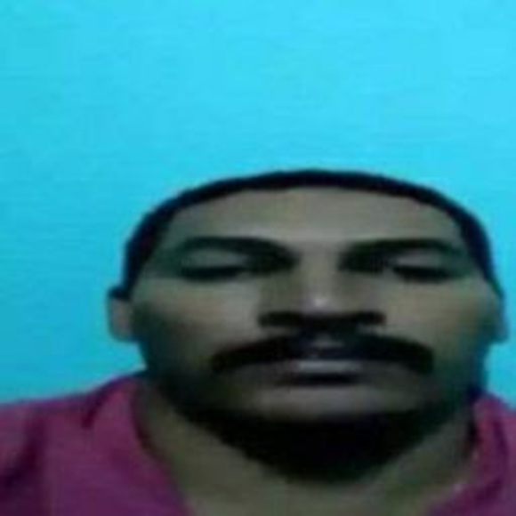 Meet your Posher, Daniella - Picture 1 of 1